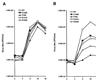 FIG. 4. Growth curves of the mutant viruses in MDCK cells. MDCK cells were infected with plaque-puriﬁed transfectants (WT, C148S, F79S,R101S, and R105S) at an MOI of 5 PFU/cell at 33°C (A) or 39°C (B) in a 12-well culture (22-mm-diameter) plate