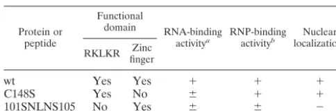 TABLE 3. RNA-binding, RNP-binding, and nuclear localizationactivities of M1