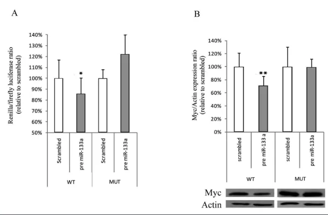 Figure 4. Reporter studies of the direct VKORC1 mRNA-miRNA interaction. (A) pMIR-as mean ± SD from four (A) and six (B) experiments performed in triplicate