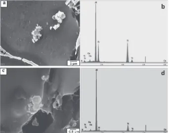 Fig. 5SEM micrographs for the weld zone of the AA 6028 base metal welded with ﬁller metal produced by treating Al-6%Si alloy with1 mass% Al-Ti5-B1 master alloy with (a) normal and (b) higher magniﬁcation.