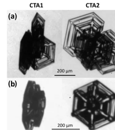 Figure 11. Two examples of stereo images for plate-like ice crystalscaptured in ice precipitation underneath an Arctic mid-level cloud.Images captured in the Camera Telescope Assembly 1 (CTA1) aredepicted on the left side; the corresponding images of the s