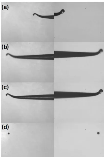 Figure 9. Stereo images of the tungsten needle taken during thecheck of the alignment with slowly moving water droplets in thelaboratory using a illumination trigger delay scaled to the differ-ences in airspeed between laboratory and aircraft operationalig