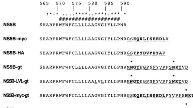 TABLE 1. Primer sequences