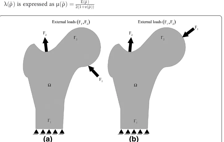 Figure 2 shows the different load locations acting on the femur.