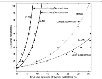 Figure 3 The number of metastases vs. the time from formation of the first metastasis.formation rates were determined for liver and lung metastases according to the exponential and Gompertzian Metastasisgrowth models