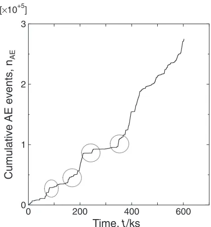 Fig. 11Photograph showing the surface of a sample after a 604 ks CBBtest (Test 6).
