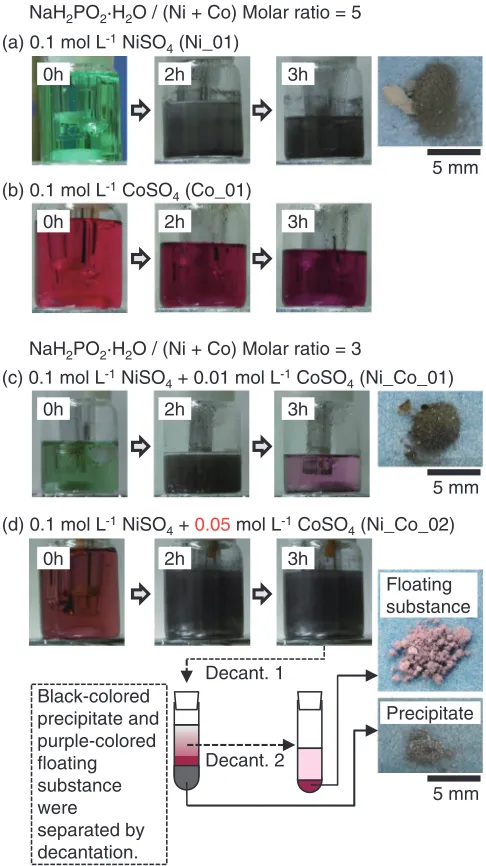Fig. 4Photographs of aqueous solution and obtained compounds in thereduction experiment; (a) 0.1 mol L¹1 NiSO4 (Ni_01), (b) 0.1 mol L¹1CoSO4 (Co_01), (c) 0.1 mol L¹1 NiSO4 + 0.01 mol L¹1 CoSO4 (Ni_Co_01), (d) 0.1 mol L¹1 NiSO4 + 0.01 mol L¹1 CoSO4 (Ni_Co_02).