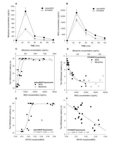 Figure 2. Morphine and M3G pharmacokinetics and pharmacodynamics in CD-1 mice (study 1)