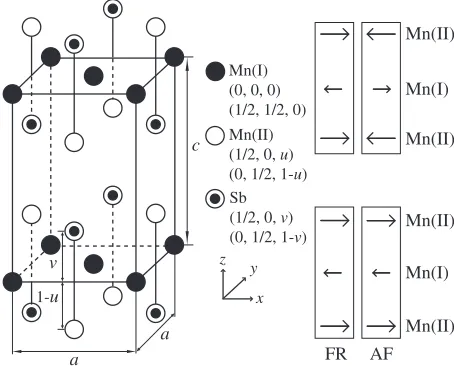 Fig. 1Crystal structure of Mn2Sb and schematic representations of FR andAF magnetic structures.