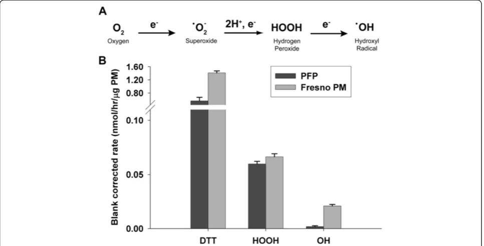 Figure 1 PFPs generate reactive oxygen species. (A) Chemical reaction showing the multistep reduction of molecular oxygen into reactiveoxygen species