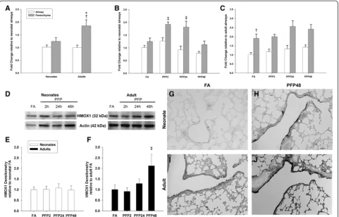 Figure 4 HMOX1 mRNA and protein expression.compared to both adult airways and neonatal parenchyma.(D) Animals were whole body exposed to FA or PFP for 6 hours, and sampled at 2, 24 and 48hours post exposure; denoted as PFP2, PFP24 and PFP48