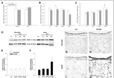Figure 5 SOD1 mRNA and protein expression.(B)mean+SEM (n=5-7 rats/group, in each compartment),(D) RT-PCR: (A) SOD1 mRNA was similar in FA controls between both lung compartment and age