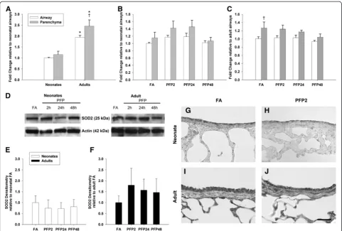 Figure 6 SOD2 mRNA and protein expression.lung SOD2 protein trended upwards at PFP2, but was statistically insignificant.(n=6 rats/group)