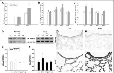 Figure 7 CAT mRNA and protein expression. RT-PCR: (A) CAT mRNA was most abundant in the adult parenchyma, compared toneonates and the airway compartment