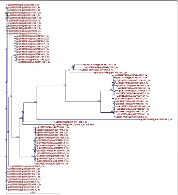 Figure 4 Phylogenetic tree showing evolutionary relationships among HCV E2 proteins of genotype3a with genotype 1a isolated from different regions of the world.