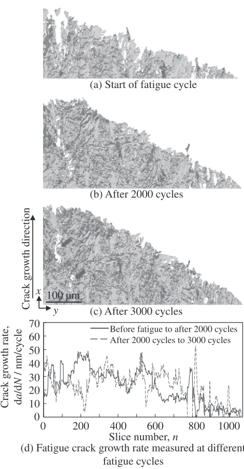 Fig. 1Rendered 3D fatigue crack images that were captured at (a) 0,(b) 2,000 and (c) 3,000 cycles