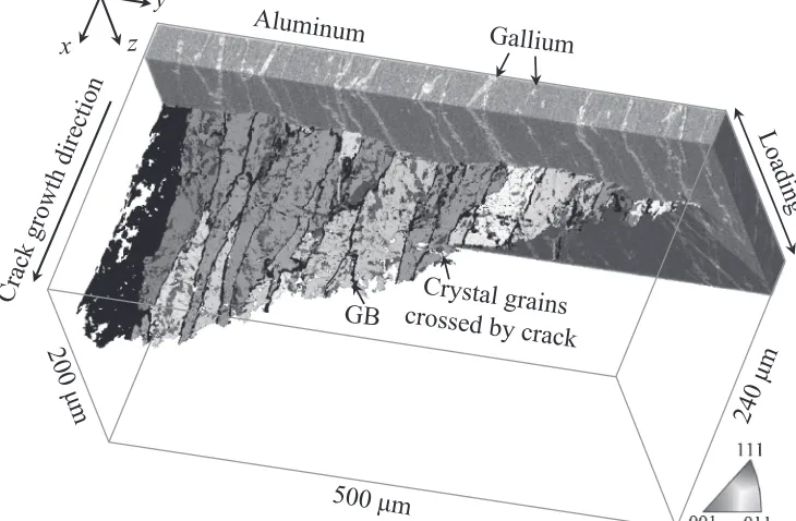 Fig. 3Inverse pole ﬁgure along the rolling direction showing the measuredorientations of individual grains located in the ﬁeld of view.