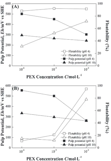 Fig. 3Change of pulp potential (solid) and ﬂoatability (blank) of(A) arsenopyrite, and (B) pyrite, according to the PEX concentration, atpH 4 (square) and 10 (triangle)