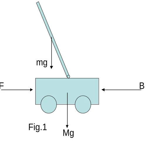 Fig.1Mg