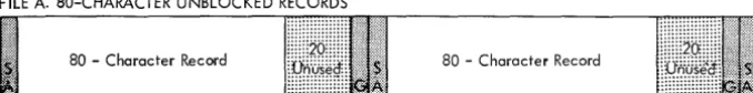 Figure 3. Schematic of Records on Disk 