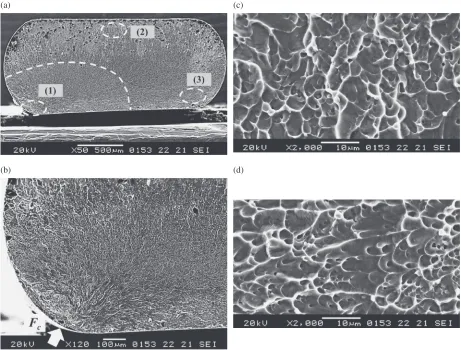 Fig. 6Relationship between fatigue crack growth area and bending strainamplitude.