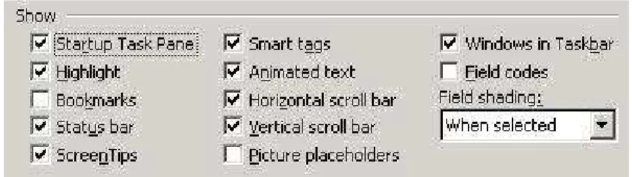 Figure 1.  Portion of Options Dialog in MS Word 