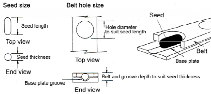 Figure 190: An example of the belt and base plate combination for a small round seed 