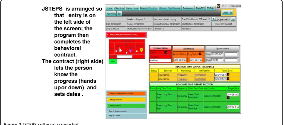Figure 2 JSTEPS software screenshot.