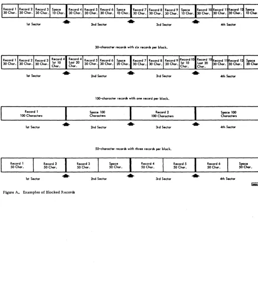 Figure A. Examples of Blocked Records 