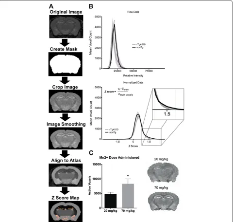 Figure 1 Summary of manganese (Mn2+) enhanced MRI (MEMRI) preprocessing and analysis procedure
