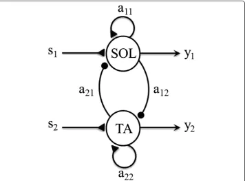 Figure 1 SPG model consisting of two neurons. Dark triangles represent excitatory connections, darkspheres represent inhibitory connections