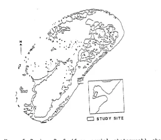 Fig. 1.1 Map of Townsville area, showing the location of Magnetic Island, and Davies Reef