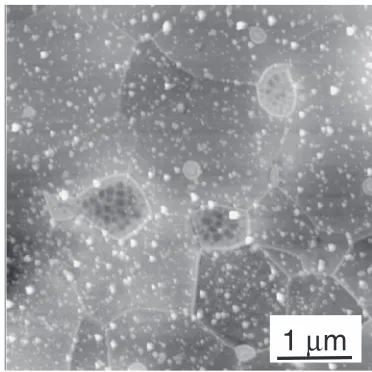 Fig. 7AFM image of the Ag decorated surface of the SCM440spheroidized steel specimen.