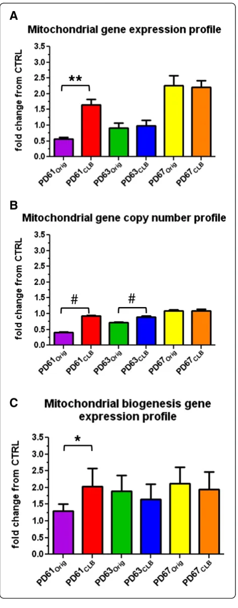 Figure 7 Quantitative real-time PCR analysis of gene profiles infour mtDNA encoded genes (ND2, CO3, ND4, 12srRNA) measuredusing RT-qPCR from cDNA and compiled to create a geneexpression profile