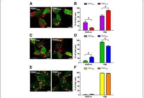 Figure 5 Nucleoid content in PDOrig and PDCLB cybrid lines. (A, C, E) Representative images of nucleoids in the PDOrig and PDCLB pairs usingPicoGreen and MTRed (green: DNA, red: mitochondria)
