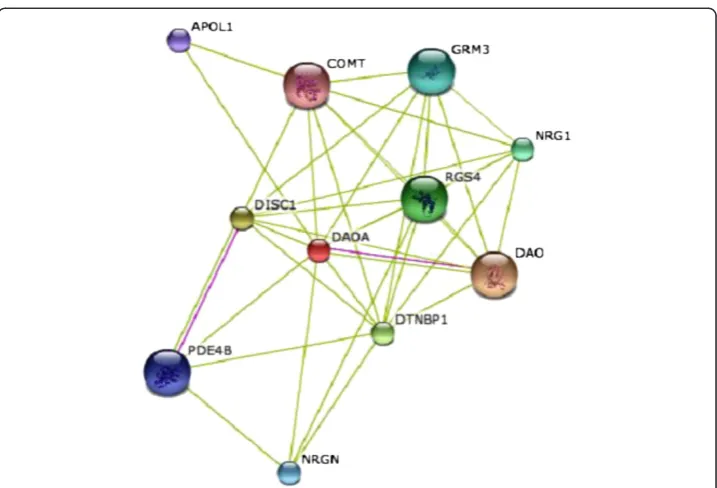 Figure 9 DAOA protein interacted with DAO.