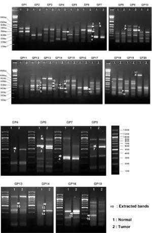 Fig. 2. The mRNAs of the 10 DEGs showingdistinct results were extracted, amplified using the TOPOⓇ TA Cloning kit and were sequenced