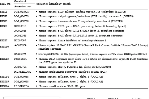 Table 2. The 10 DEGs Isolated were Cloned, Sequenced, and Searched with GeneBank. DEGs, Differentially Expressed Genes