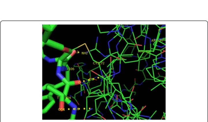Figure 8 Interactions between P16-INK4A and CDK4. P16-INK4A is shown in lines and CDK4 in sticksformat.