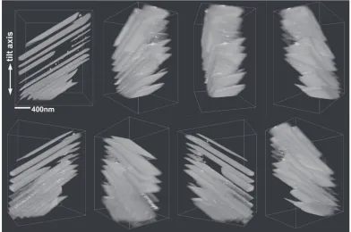 Fig. 2Reconstructed 3D volumes of a Mg97Zn1Gd2 cast alloy after aging at 773 K for 18 ks