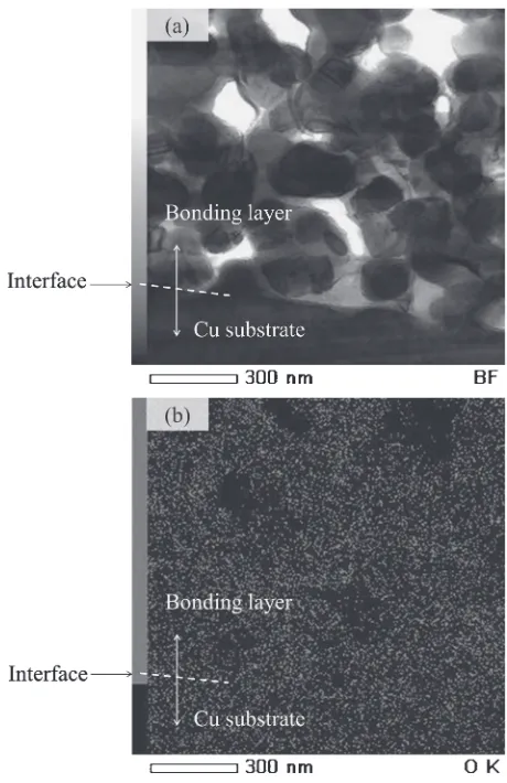 Fig. 10Shear strength of Cu-to-Cu joints pressed at 320°C at 5 MPa, thenheated to 400 or 450°C for 5 min.