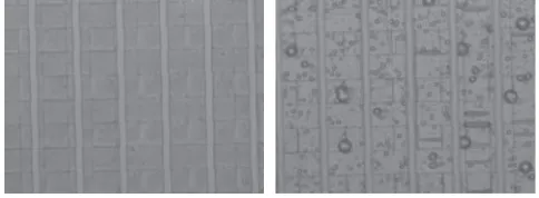 Fig. 2Brightﬁeld SEM images showing AR-N 7520-18 resist after EBexposure and developing