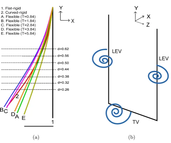 Figure 2.3: (a) Shapes of the plates immersed in water during traverse movement. Theplates are rearranged to have the same base position in order to compare x-directionaldeviation of the tip from a vertical line