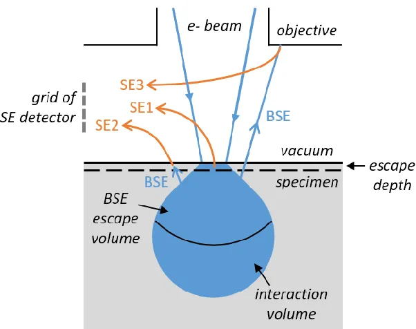 Figure 2-6. Secondary Electron Generation. SE1 emerge from the current “pixel” on the sample
