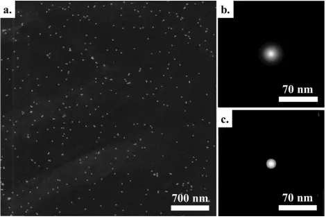 Figure 3-1. Example Calibration Image with Extracted Stacked Particle and Theoretically Calculated Particle
