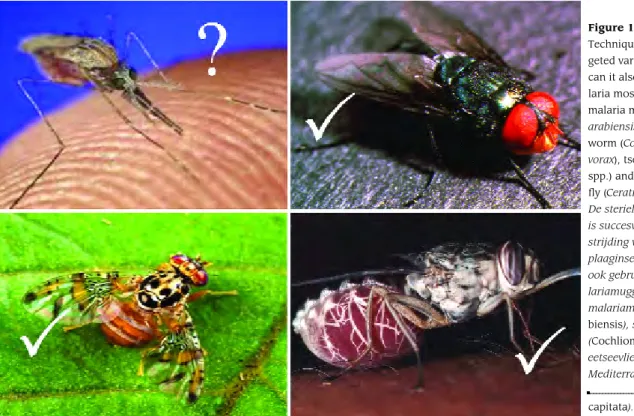Figure 1. The Sterile Insect Technique has successfully  tar-geted various pest insects, but can it also be used against  ma-laria mosquitoes? Clockwise:
