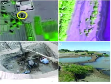 Figure 4. High-resolution satellite images (a, b) from the project area in Northern State, Sudan