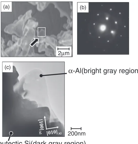 Fig. 5Micrographs by FE-SEM of high pressure die castings demolded at 503 K and permanent mold castings demolded at 473 K and773 K under the as-cast condition using by electrolytic polishing