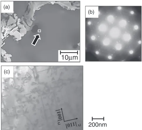 Fig. 10Transmission electron micrograph of permanent mold castingsdemolded at 473 K and then aged at 473 K for 7.68 ks