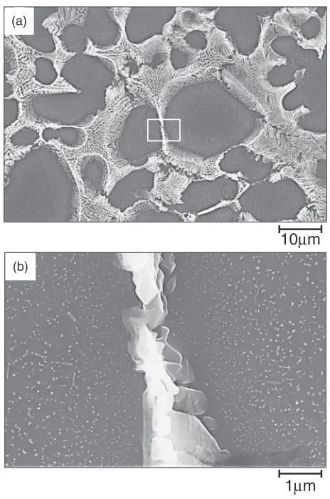 Fig. 13Transmission electron micrograph of permanent mold castingsdemolded at 773 K and then aged at 473 K for 7.68 ks
